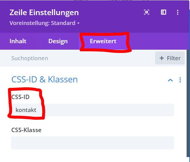 CSS ID in Divi vergeben