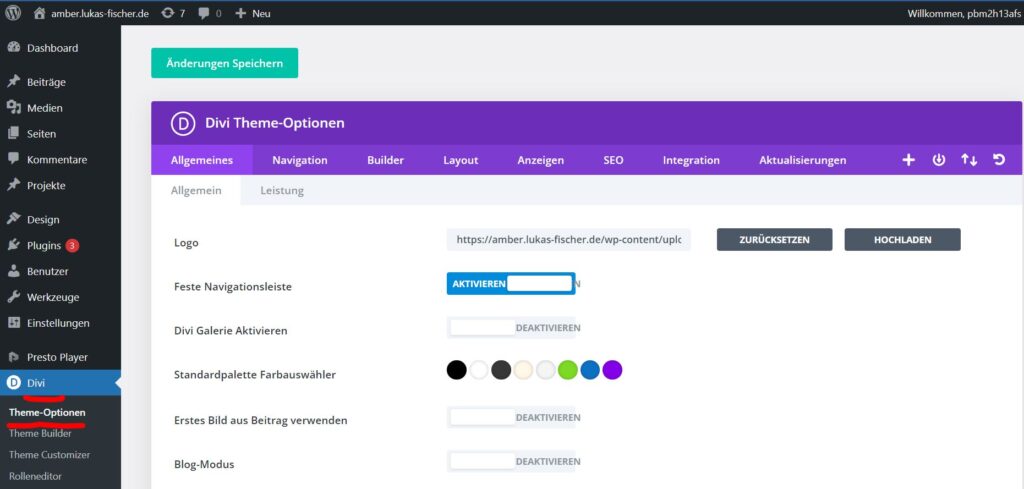 Divi Theme richtig einstellen über die Theme Optionen 