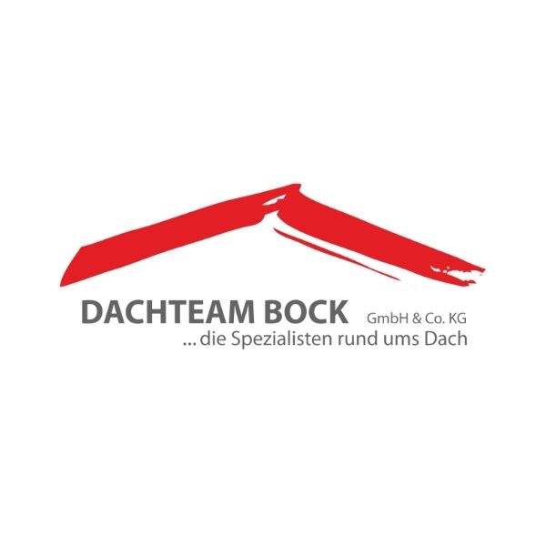 Webdesign Referenz - Dachteam Bock